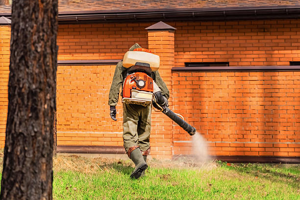 Trusted Termite Control service in Kirkland, WA - Nex Pest Control